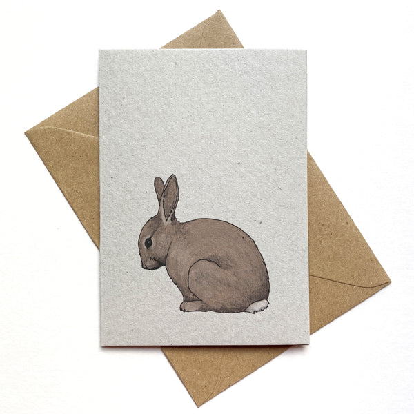 Rabbit Illustrated Card