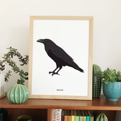 Raven bird print