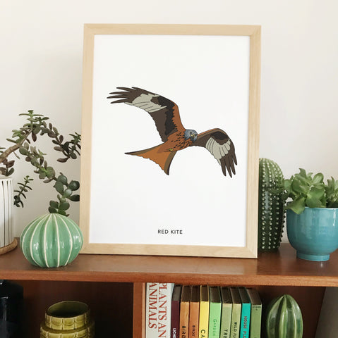 Red kite bird print