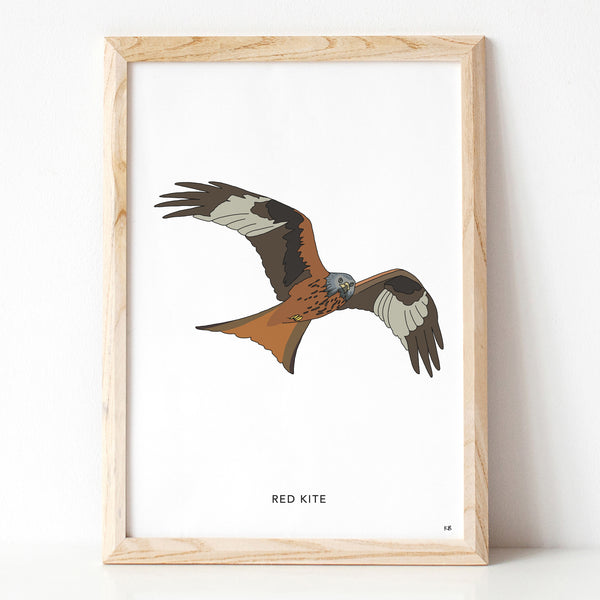 Red kite bird print