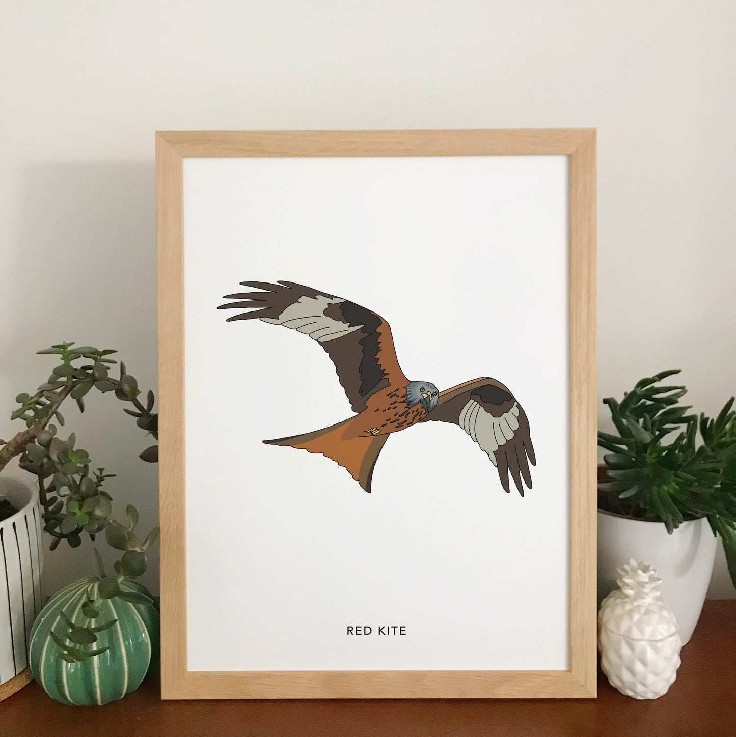 Red kite bird print