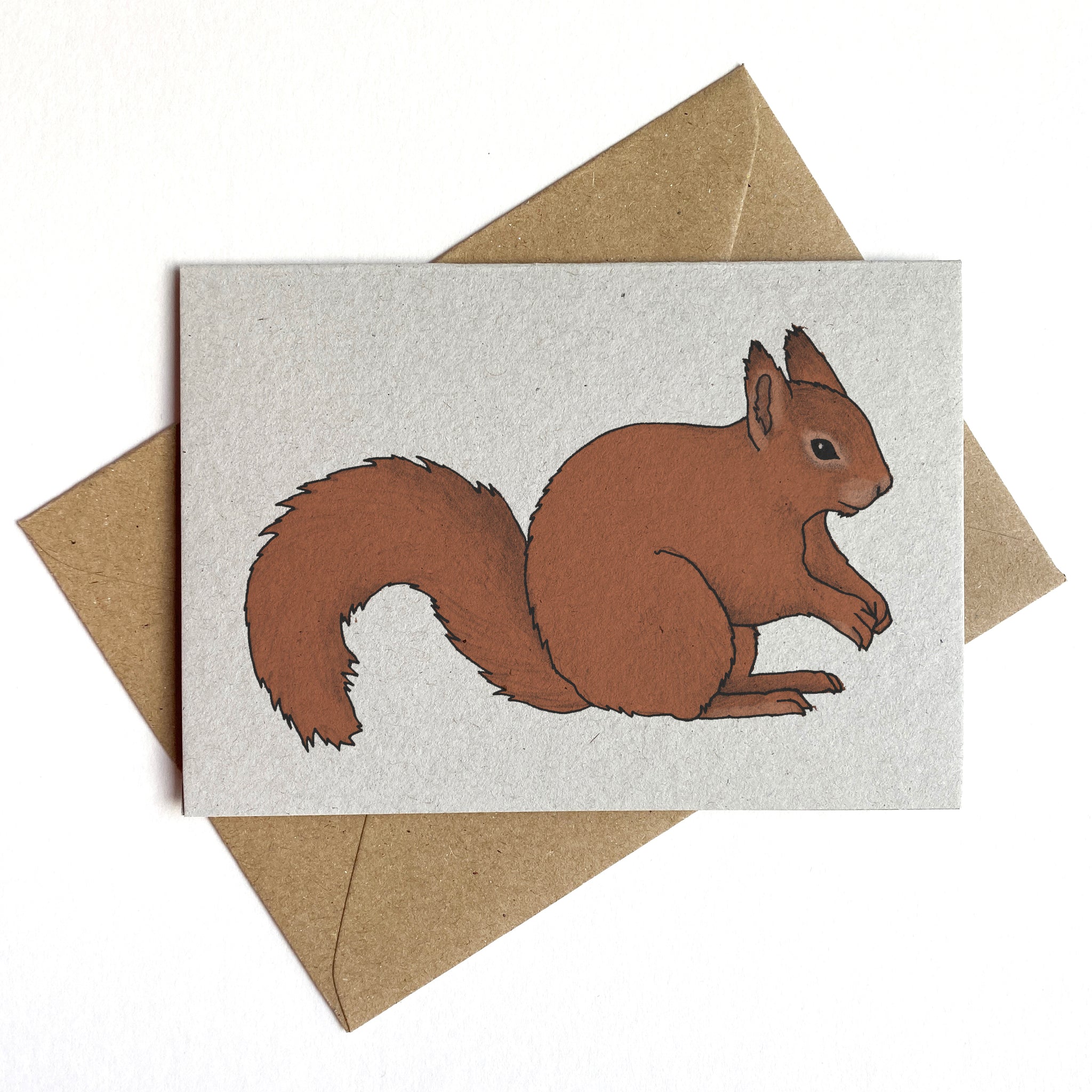 Red Squirrel Illustrated Card