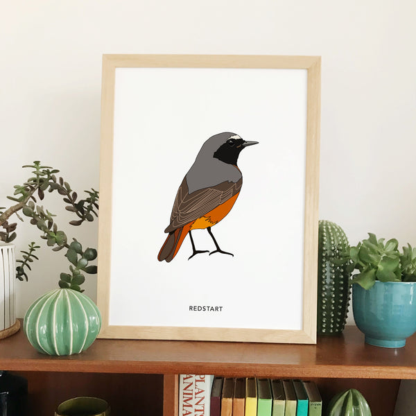 Redstart bird print