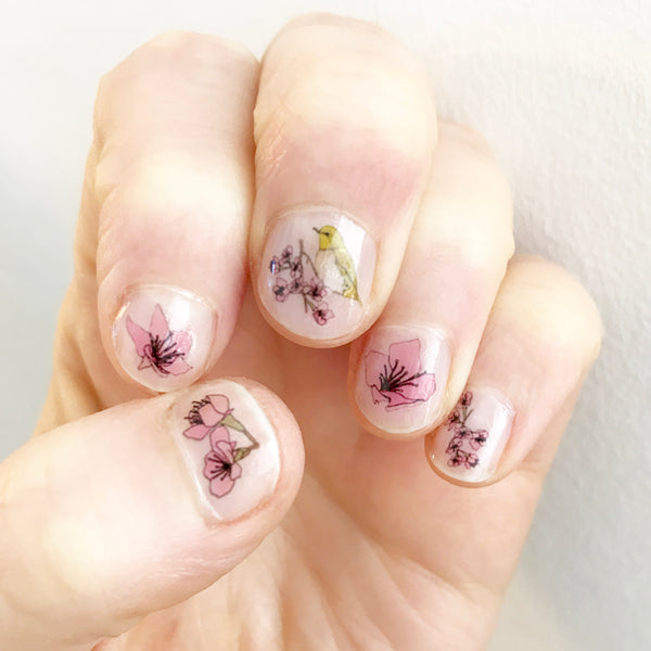 Cherry Blossom Nail Art Transfers