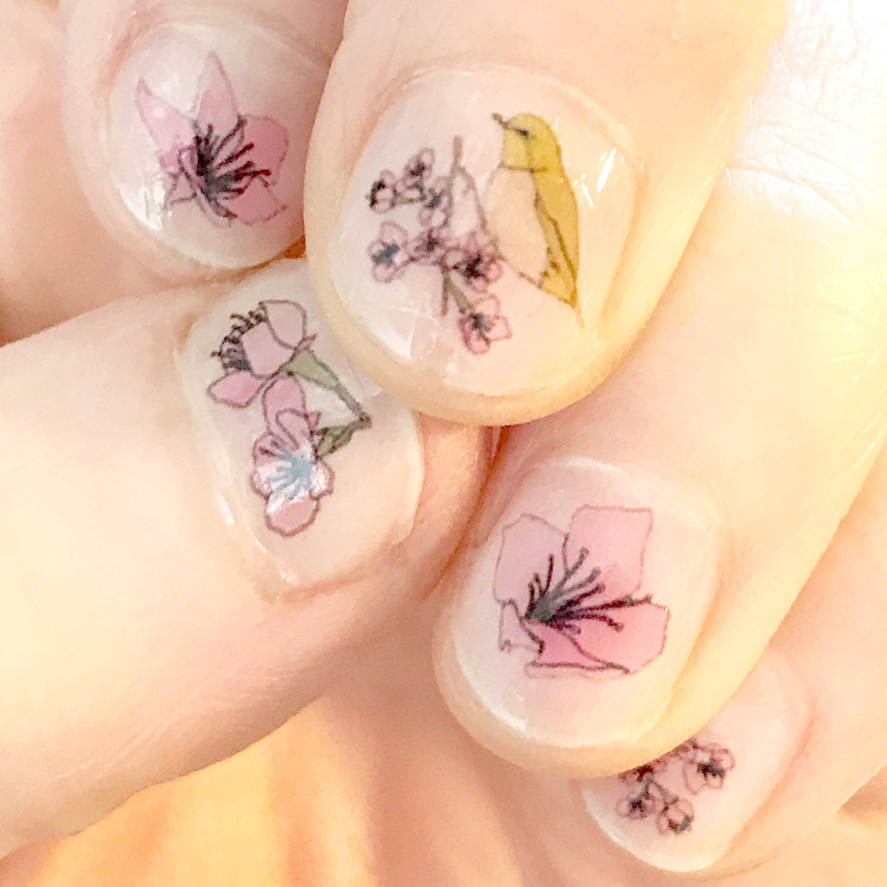 Cherry Blossom Nail Art Transfers - katebroughton