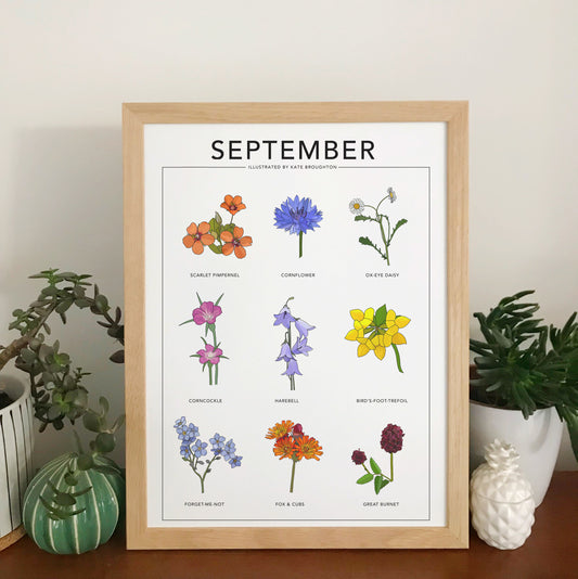 September wildflower nature print