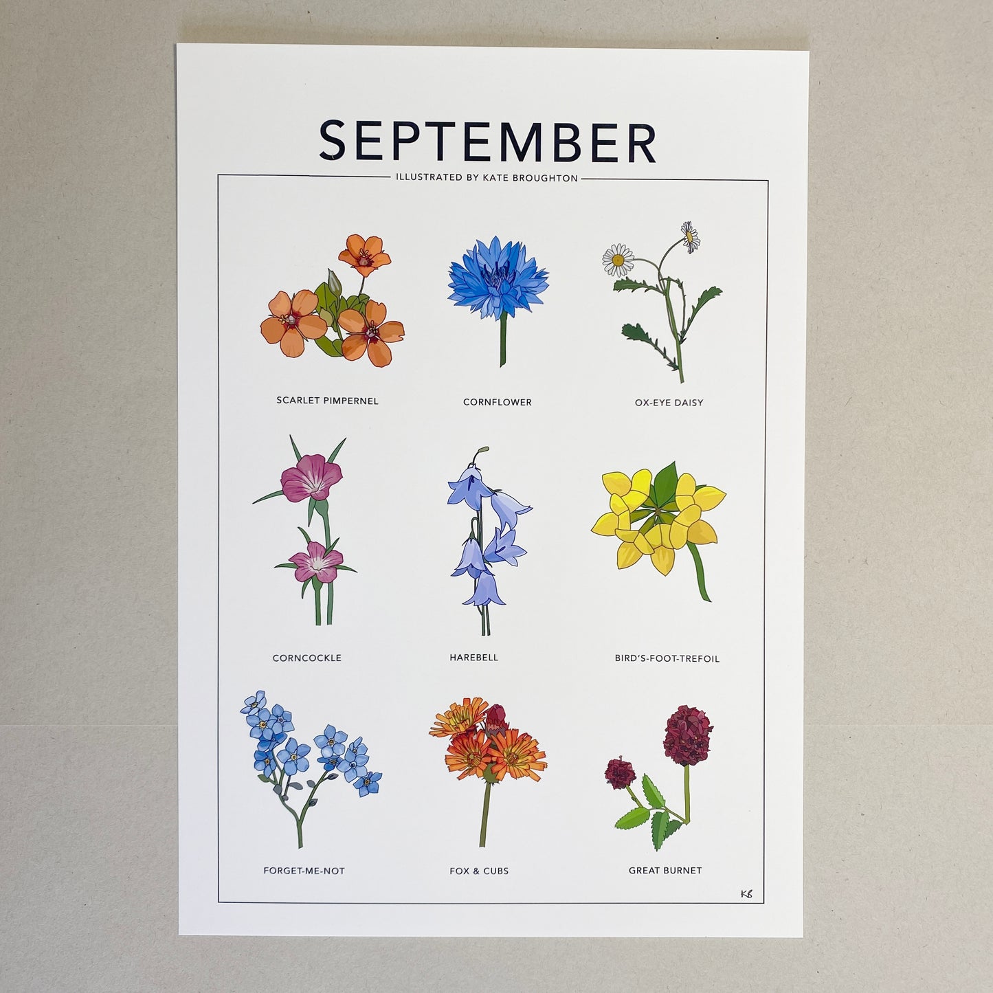 September wildflower nature print