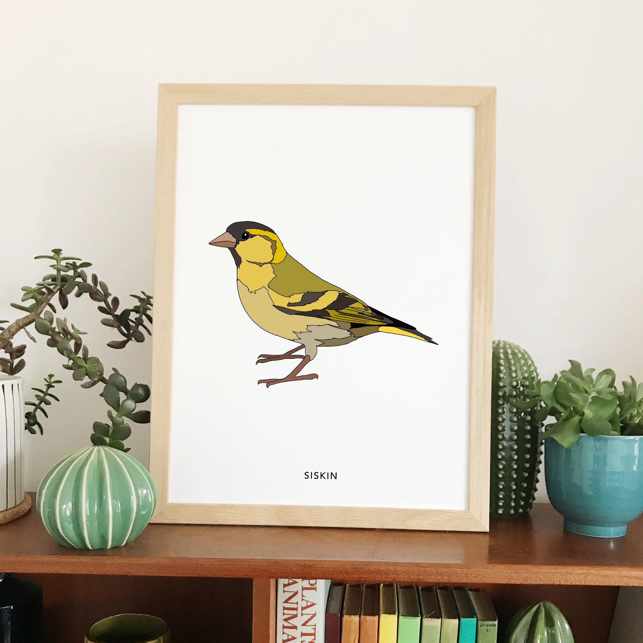 Siskin bird print