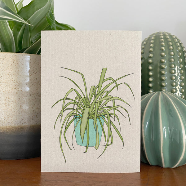 Spider Plant Card
