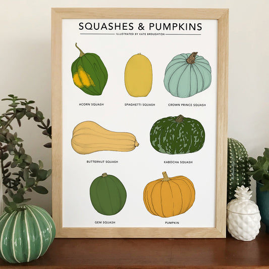 Squashes & Pumpkins Print - katebroughton