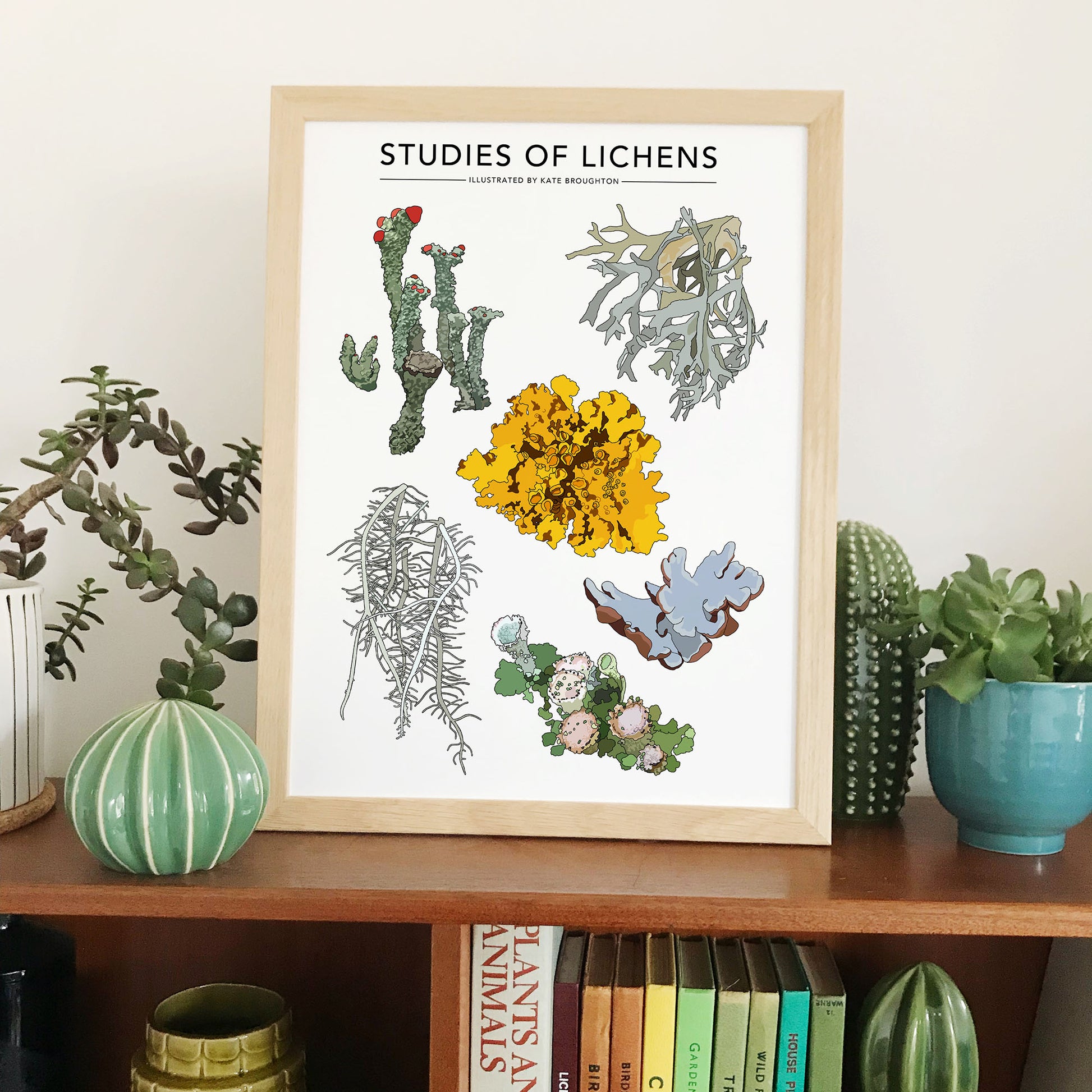 Studies Of Lichens Print - katebroughton