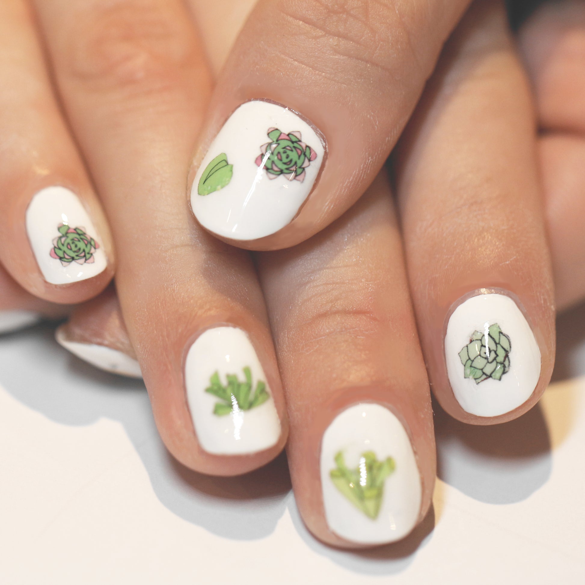 Succulent Nail Art Transfers - katebroughton