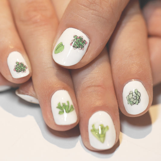 Succulent Nail Art Transfers