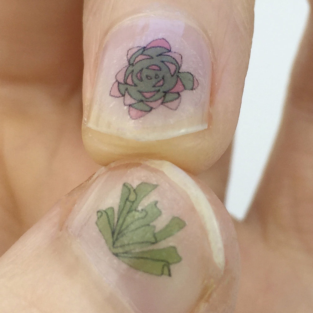 Succulent Nail Art Transfers - katebroughton