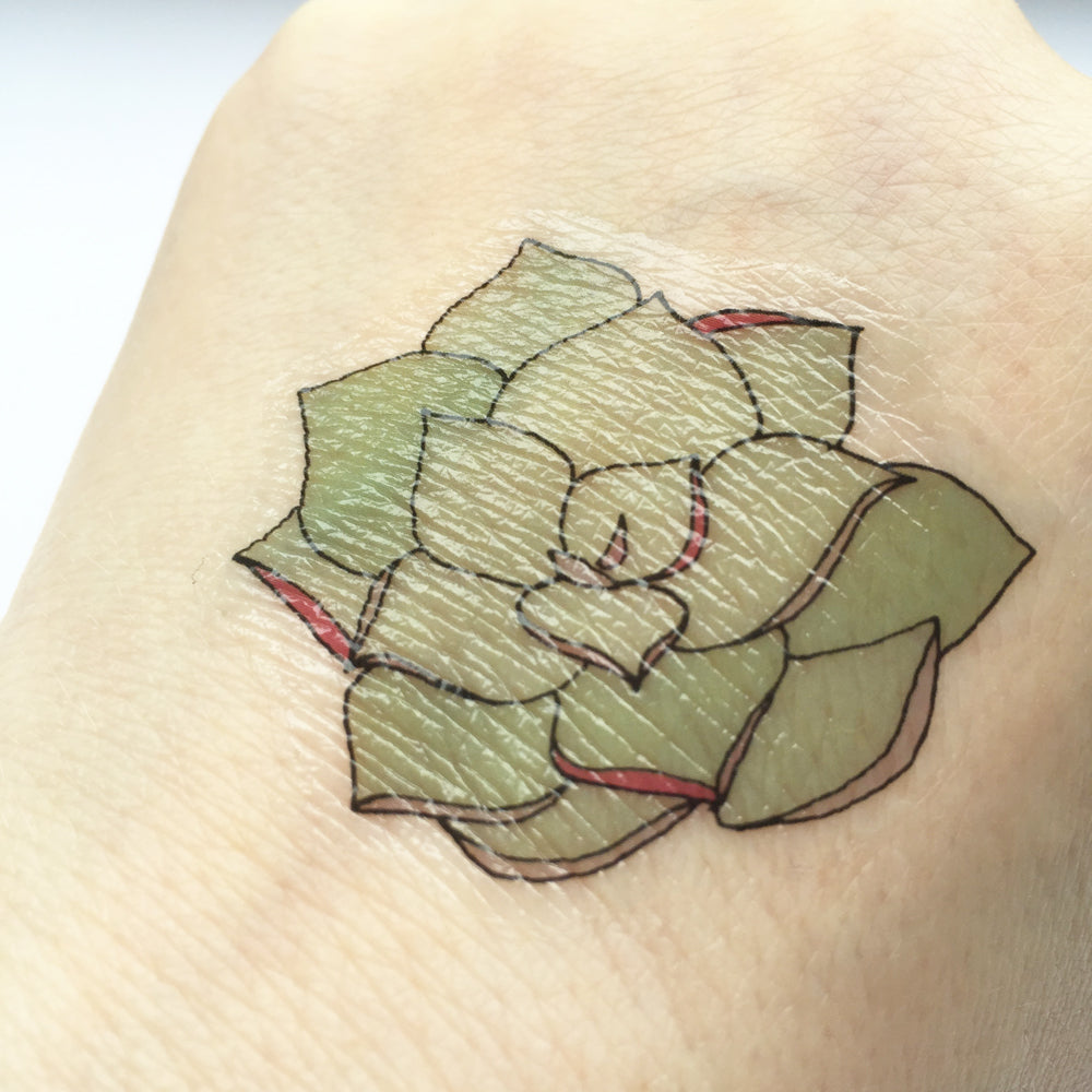 Plant Temporary Tattoos - katebroughton