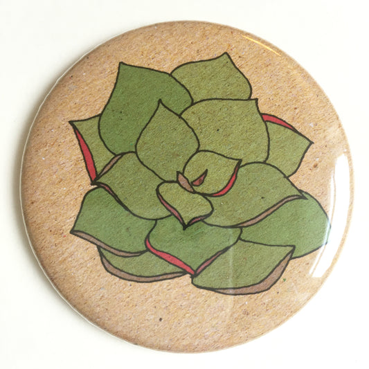 Succulent pocket mirror