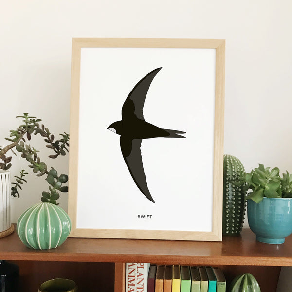 Swift bird print