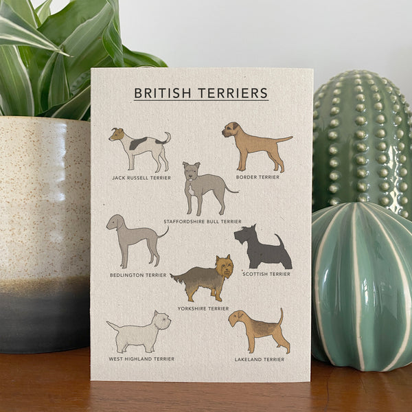 British Terriers Illustrated Card