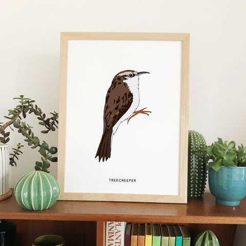 treecreeper bird print