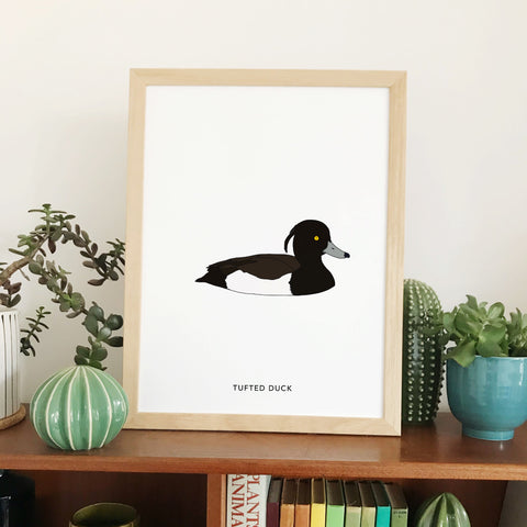 Tufted Duck bird print