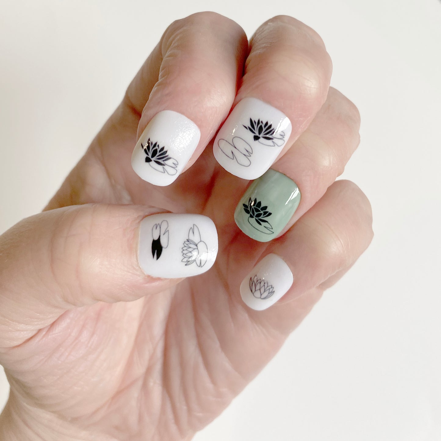 Waterlily Nail Art Transfers