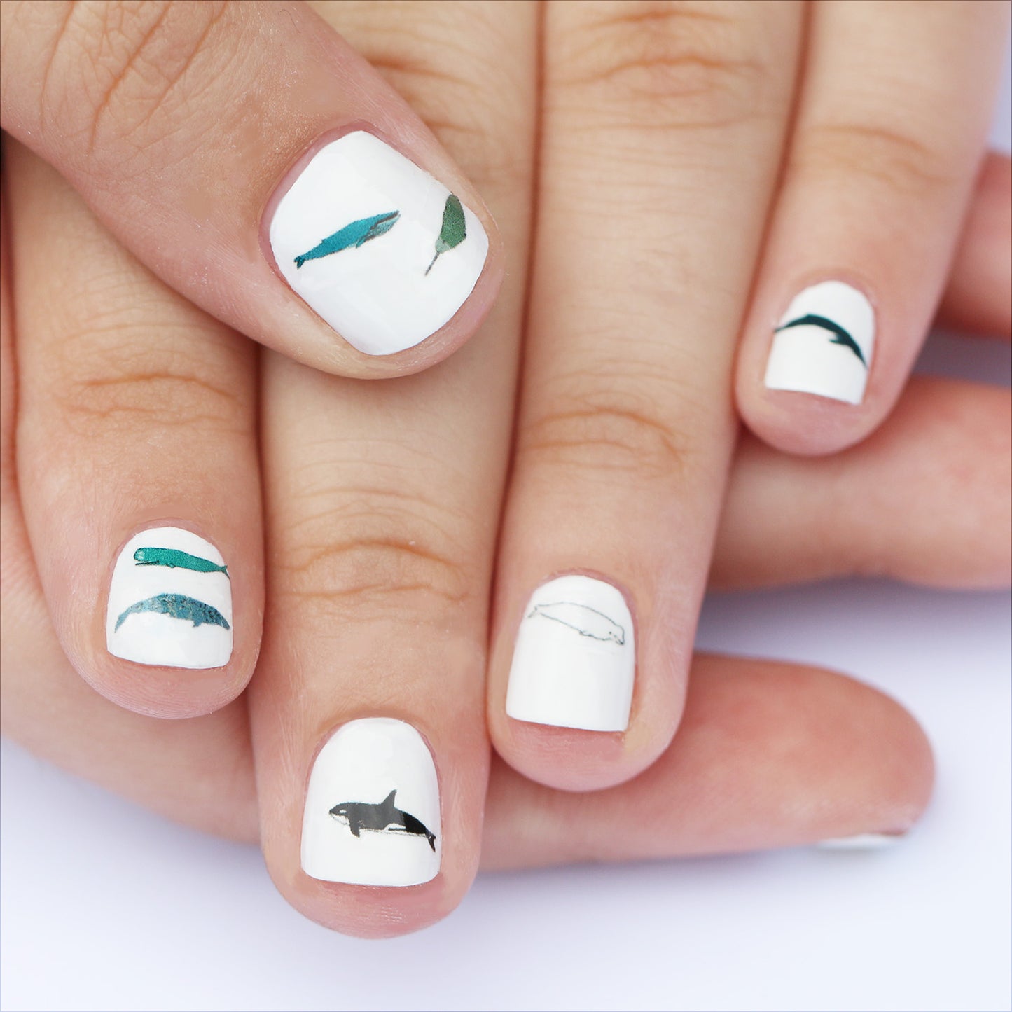 Whale Nail Art Transfers - katebroughton