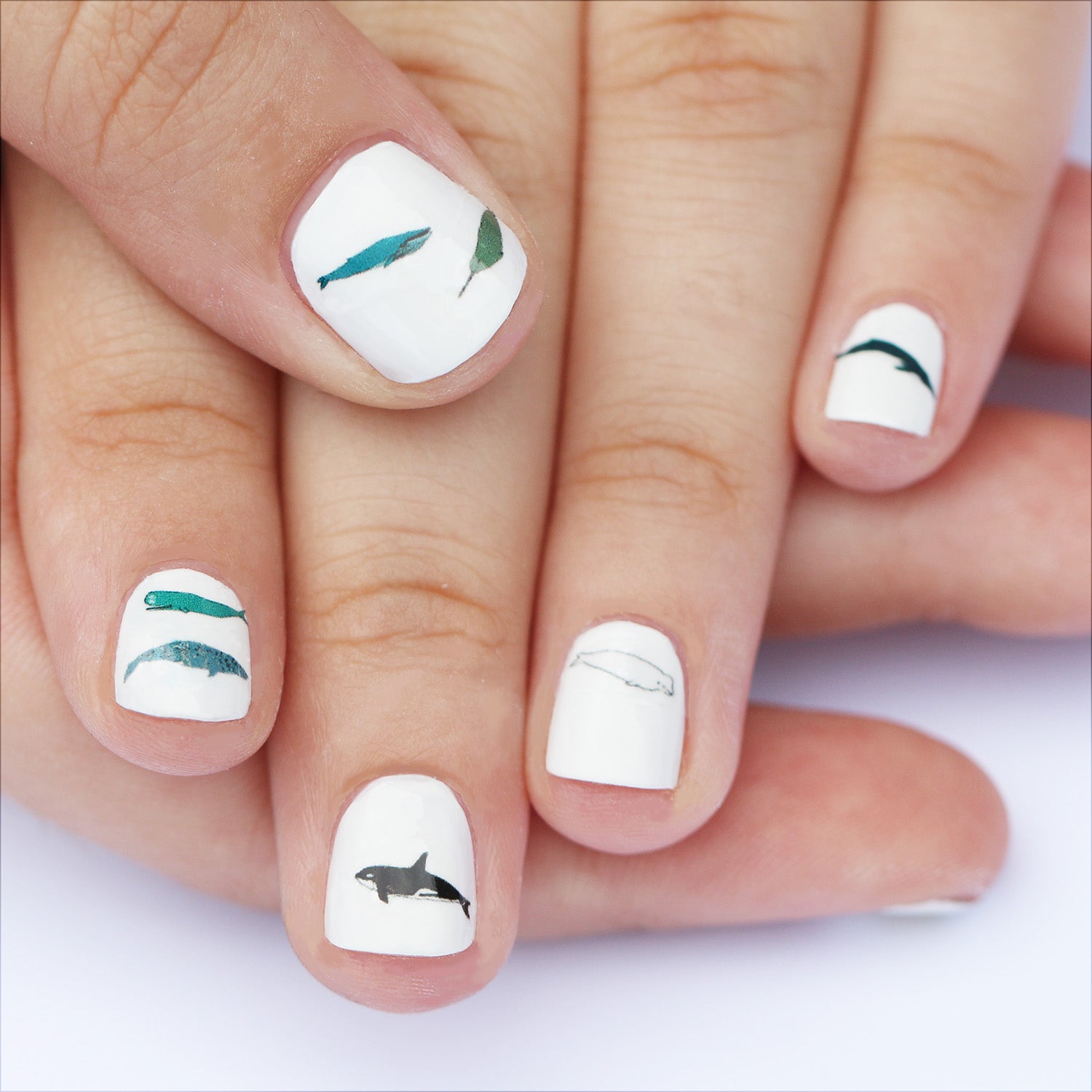 Whale Nail Art Transfers - katebroughton
