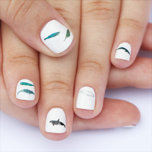Whale Nail Art Transfers