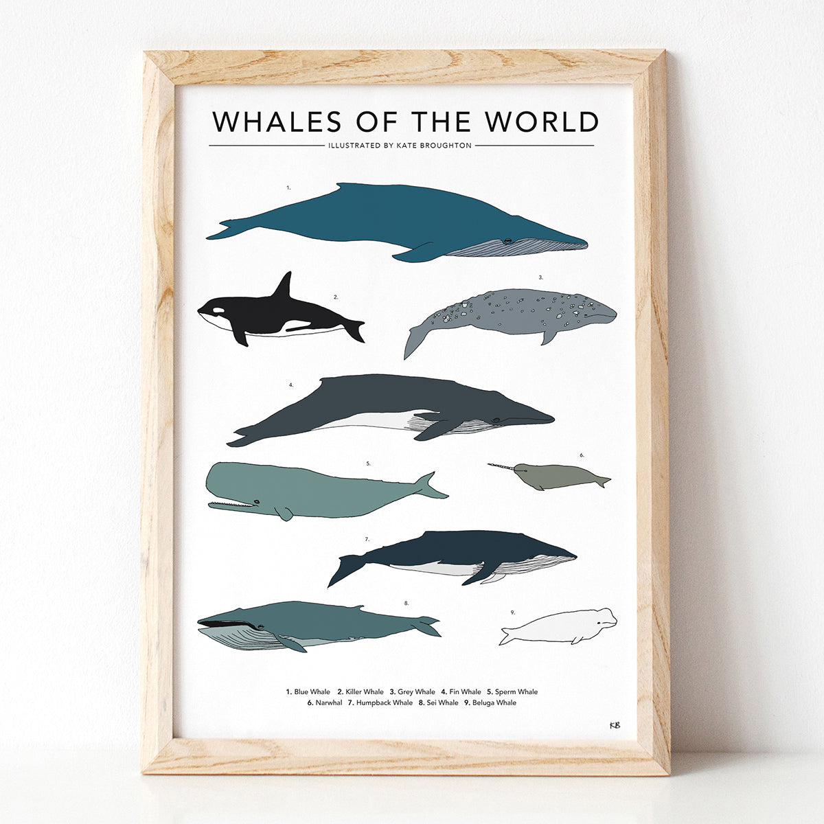 Whales Of The World Print - katebroughton
