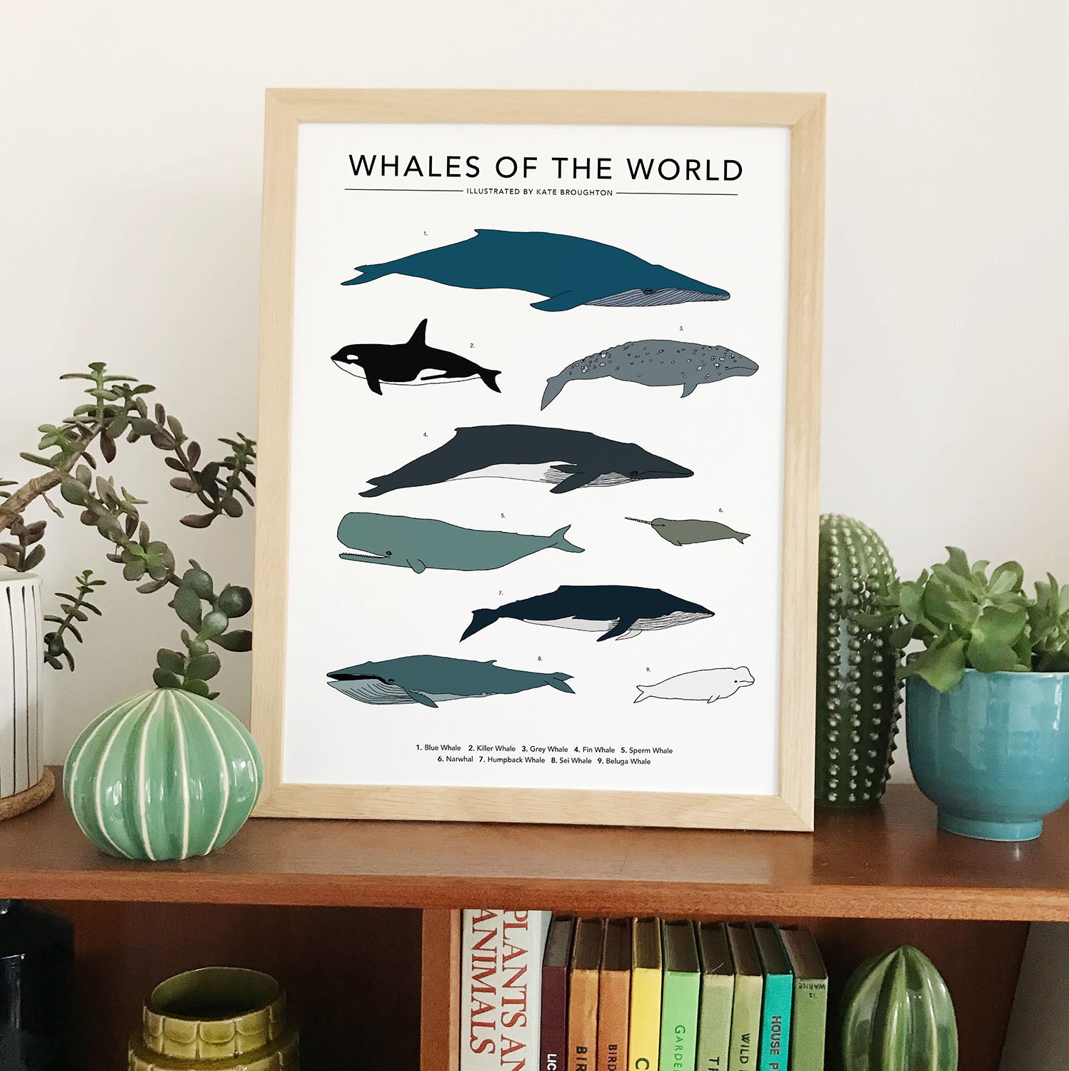 Whales Of The World Print - katebroughton