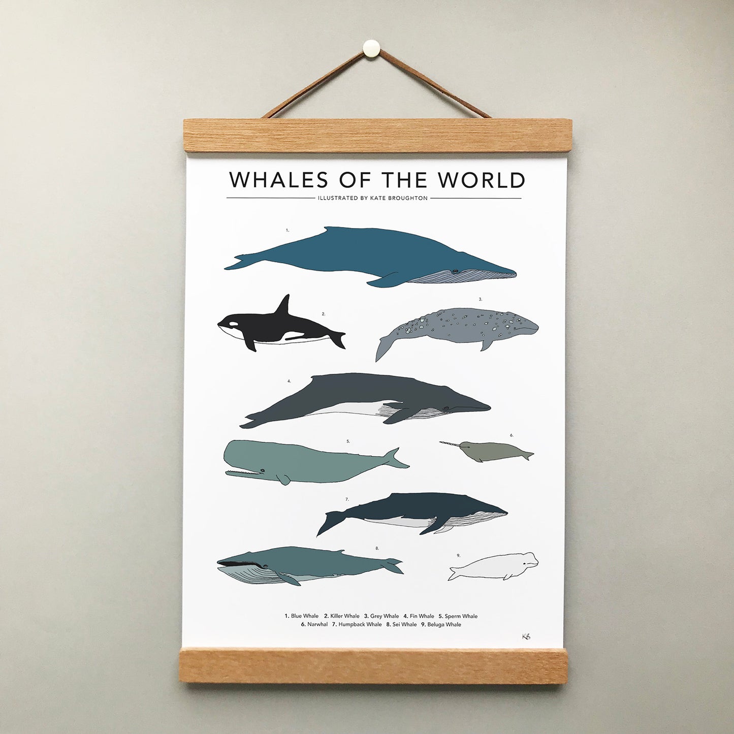 Whales Of The World Print - katebroughton