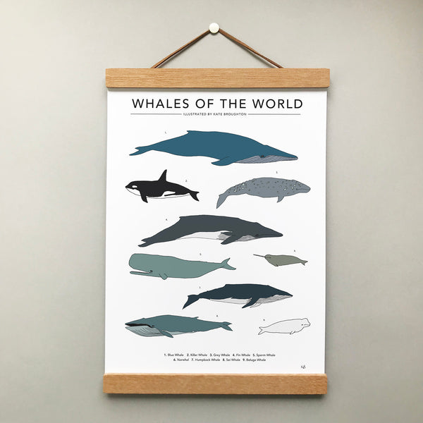 Whales Of The World Print