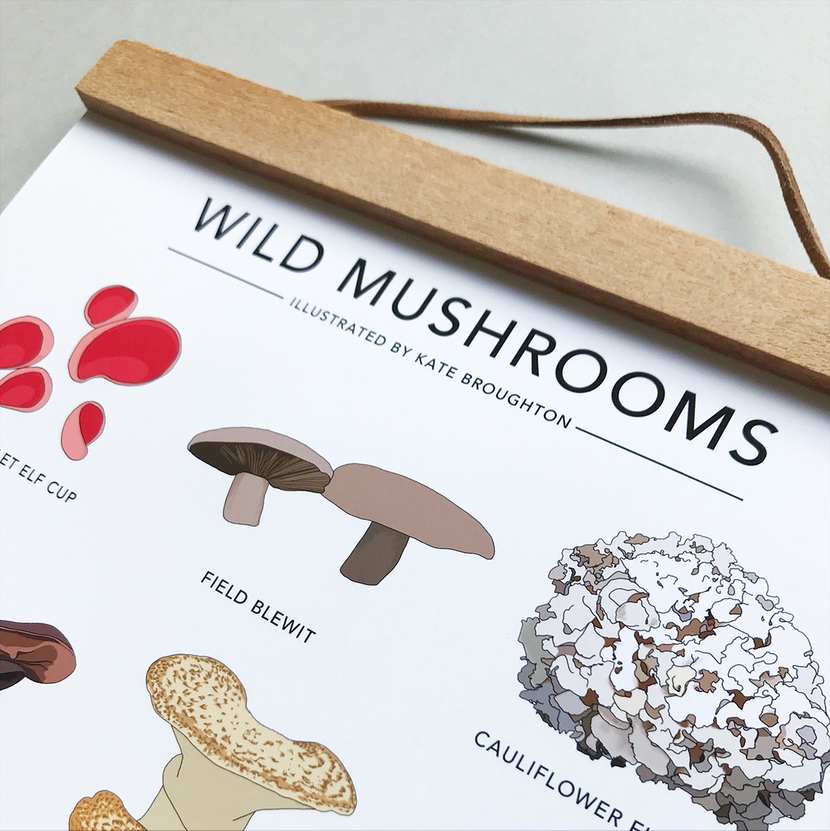 Wild Mushrooms Print - katebroughton