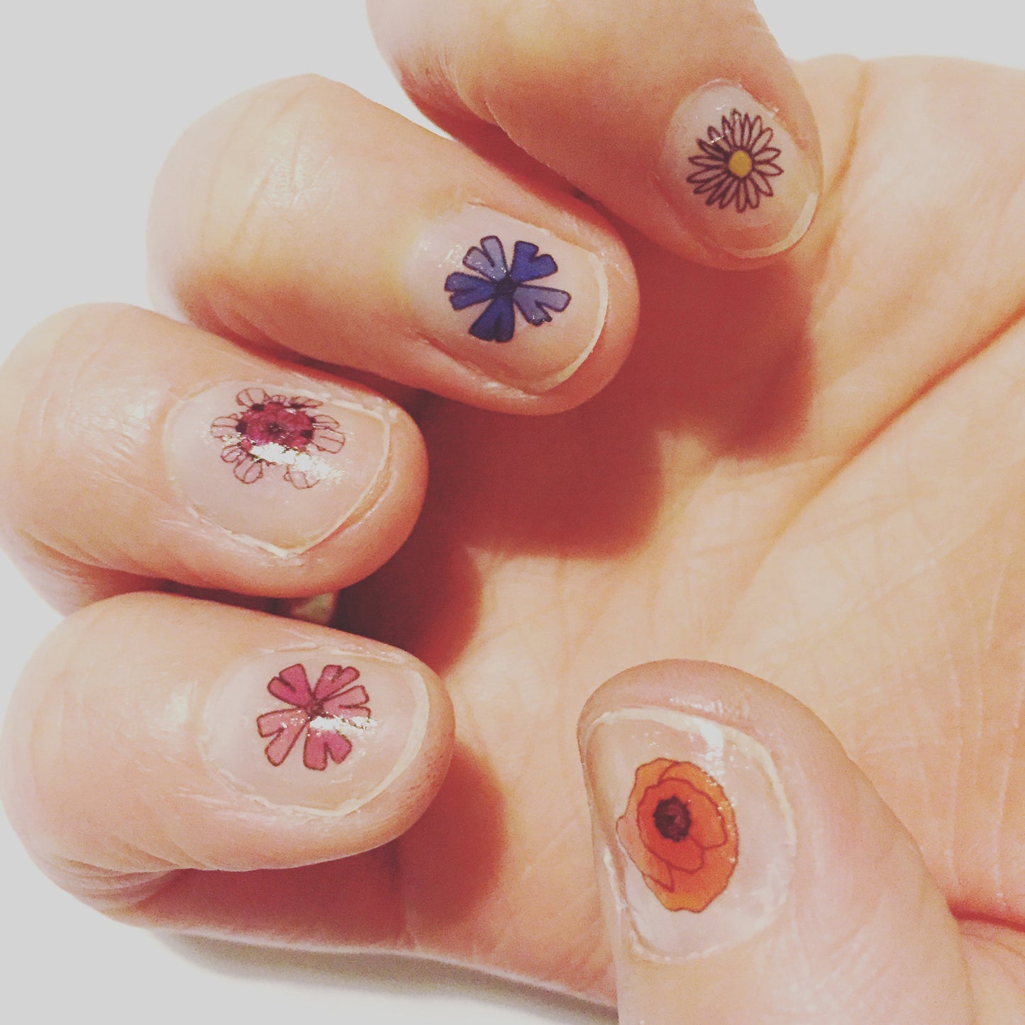 Wildflower Nail Art Transfers - katebroughton