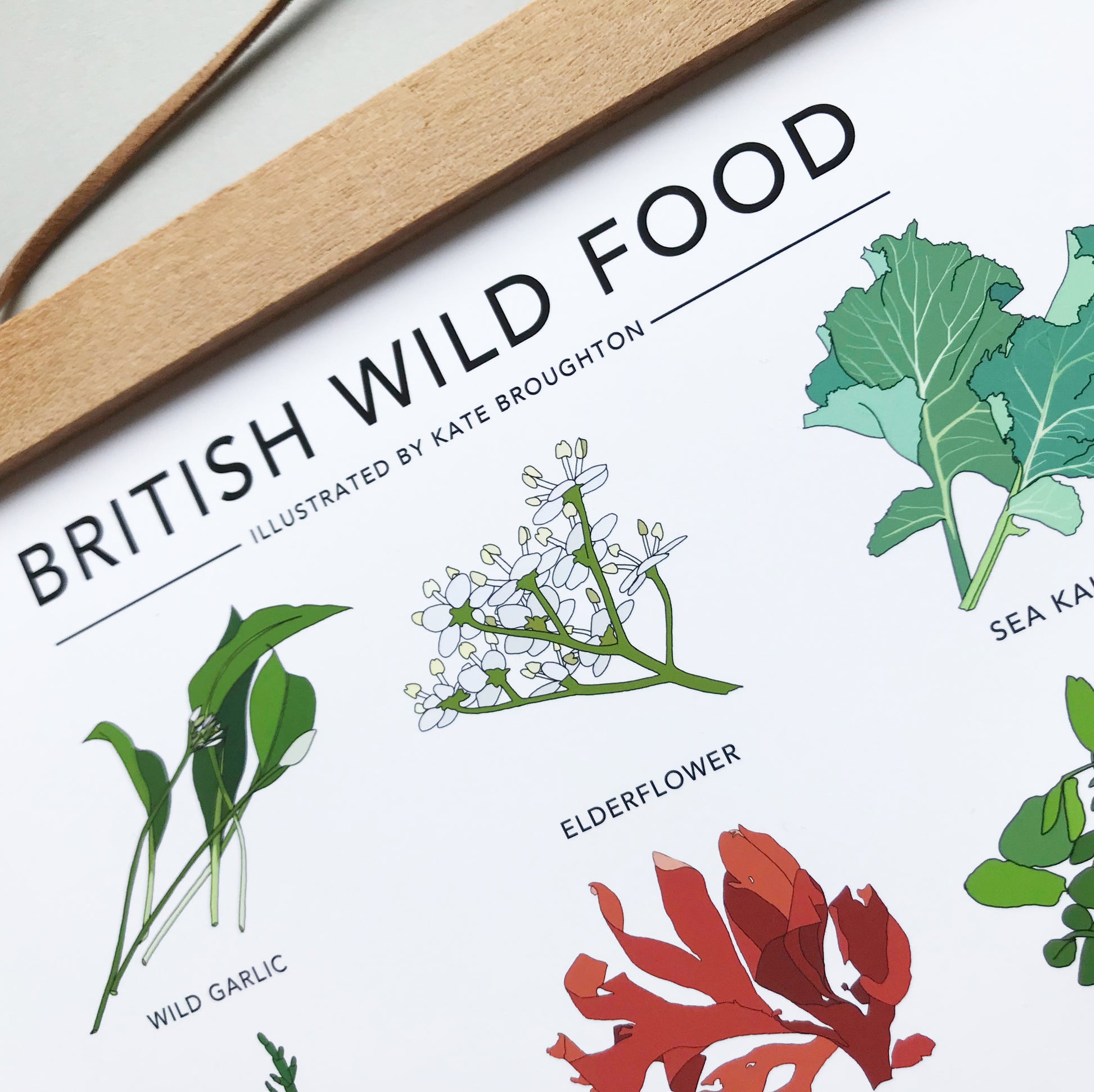 British Wild Food Print - katebroughton