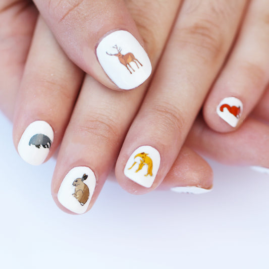 Woodland Animal Nail Art Transfers