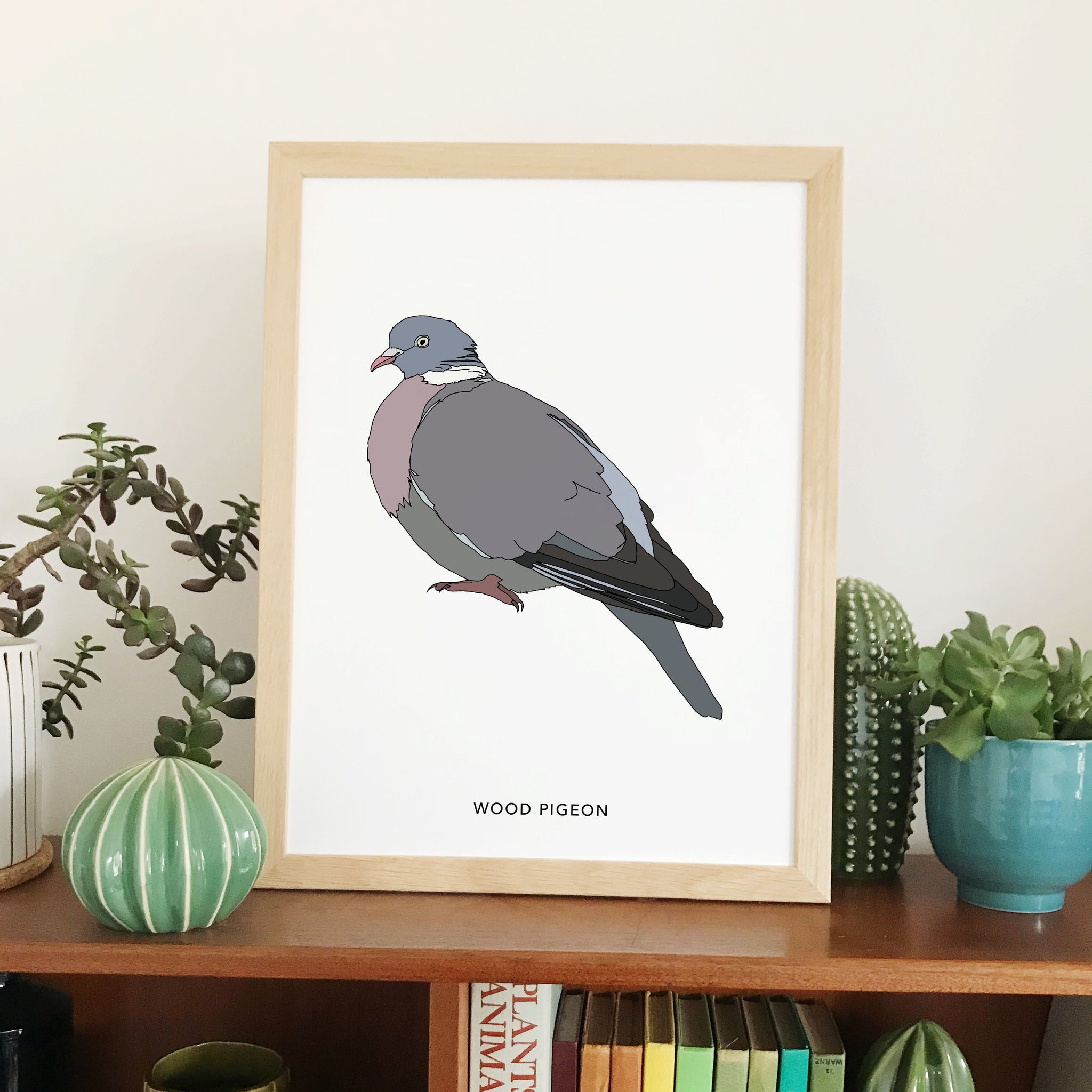 Wood Pigeon bird print