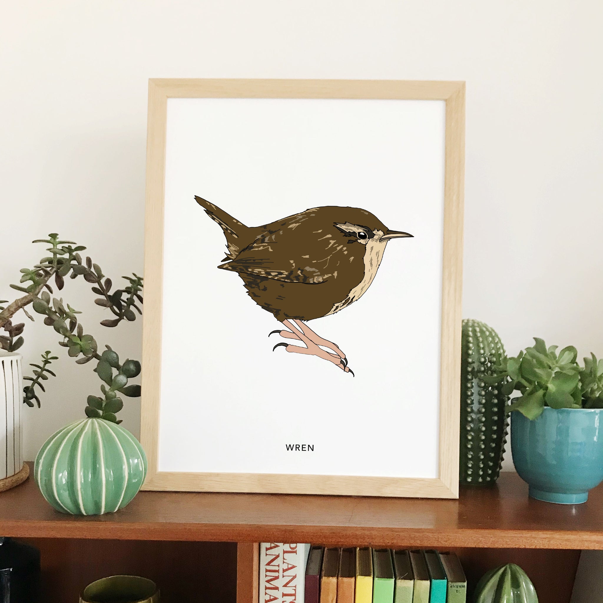 Wren bird print